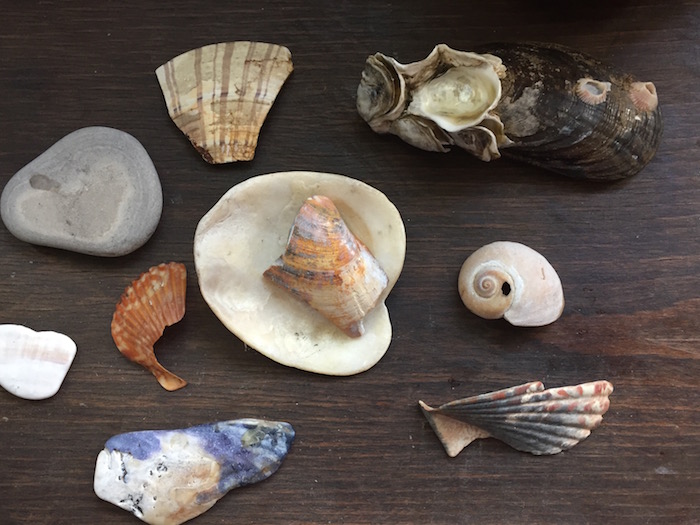 ShellsRocksBroken ones
