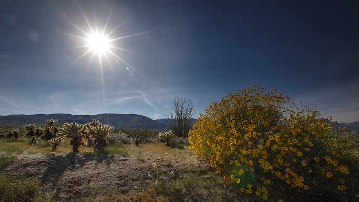 sun